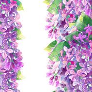 spring lilac N2