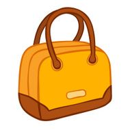Elegant ladies handbag