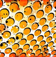Abstract grunge background N8