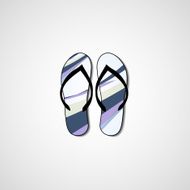 Abstract illustration on flip flops N147