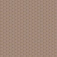 Vintage shabby background with classy patterns N356