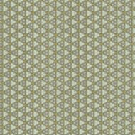 Vintage shabby background with classy patterns N362