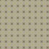 Vintage shabby background with classy patterns N363