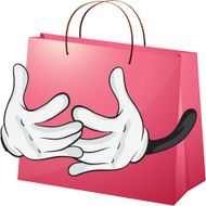 Red bag N3