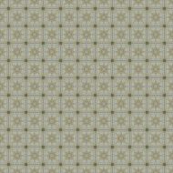 Vintage shabby background with classy patterns N366