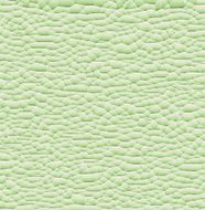 Vector pattern green background