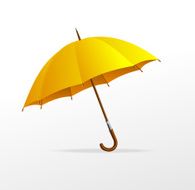 Yellow Umbrella N2
