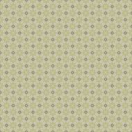 Vintage shabby background with classy patterns N429