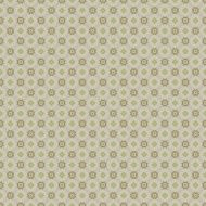 Vintage shabby background with classy patterns N433