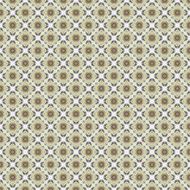 Vintage shabby background with classy patterns N436