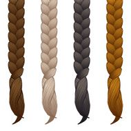 braids isolated on white background