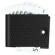 wallet with five euro banknotes
