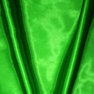 Green fabric texture for background Vector