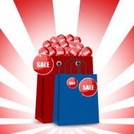 Shopping bag and tag N3