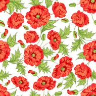 Pattern of poppy flowers N3