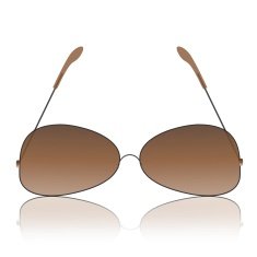 Sunglasses N60