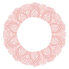Decorative Vintage Design Element illustration with lacy frame N11