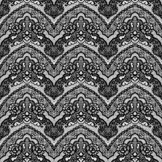 Lace seamless pattern with flowers N98