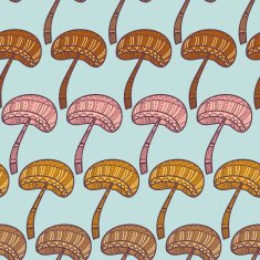 Mushrooms N27