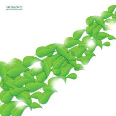 Green leaves abstract background