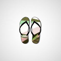 Abstract illustration on flip flops N127