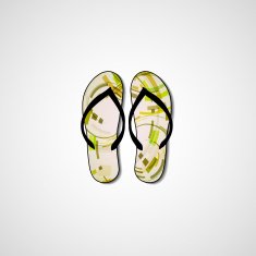Abstract illustration on flip flops N128