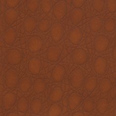Leather N6