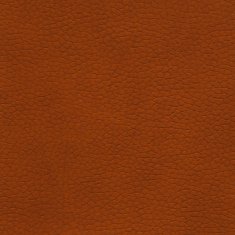 Leather N9