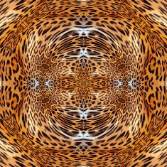 Leopard Leather N2