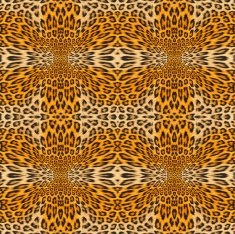 Leopard Backround