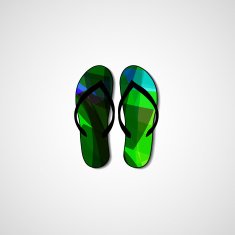 Abstract illustration on flip flops N134