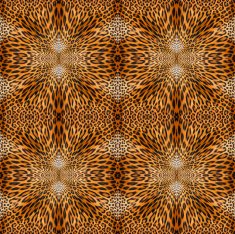 Leopard Pattern Leopard Animal