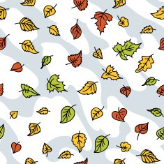 autumn leaves N25
