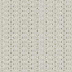 Vintage shabby background with classy patterns N58