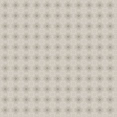 Vintage shabby background with classy patterns N99