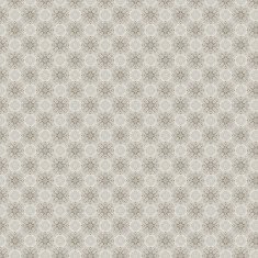 Vintage shabby background with classy patterns N110