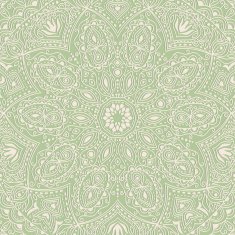 ornamental lace pattern circle background with many details