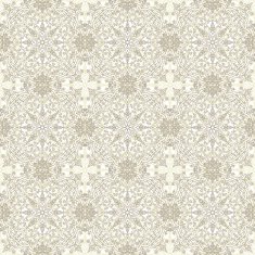 Lace seamless pattern N25