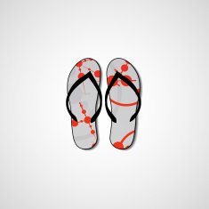 Abstract illustration on flip flops N136