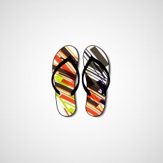 Abstract illustration on flip flops N138