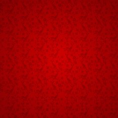 Damask pattern N24