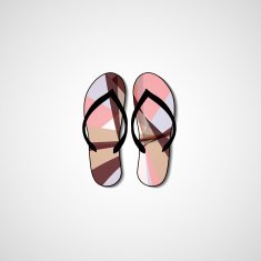 Abstract illustration on flip flops N139