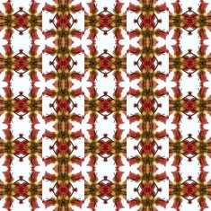 Vintage shabby background with classy patterns N124