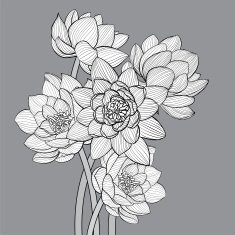Floral background N280