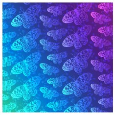 butterfly pattern N13