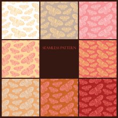 butterfly set N3