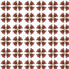 Vintage shabby background with classy patterns N168