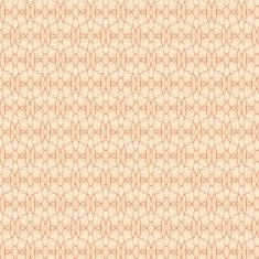 Vintage shabby background with classy patterns N296