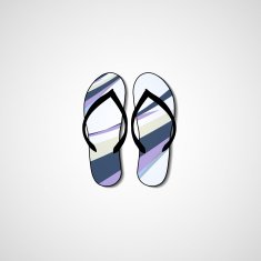 Abstract illustration on flip flops N147