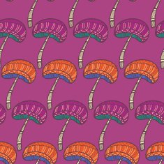 Mushrooms N39
